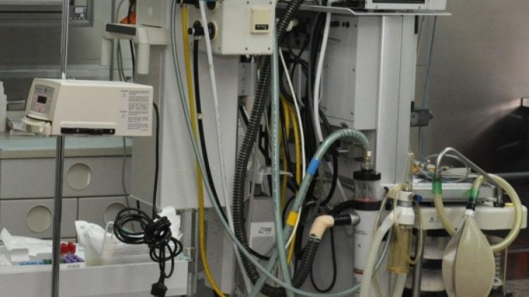 Снимка: архив, БулФото