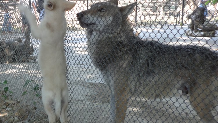 Снимка: архив, БГНЕС