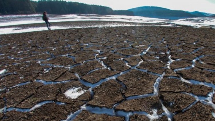 Снимка: Димитър Кьосемарлиев, Dnes.bg, архив