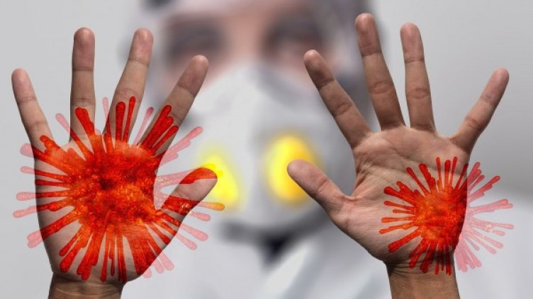 Снимка: Pixabay