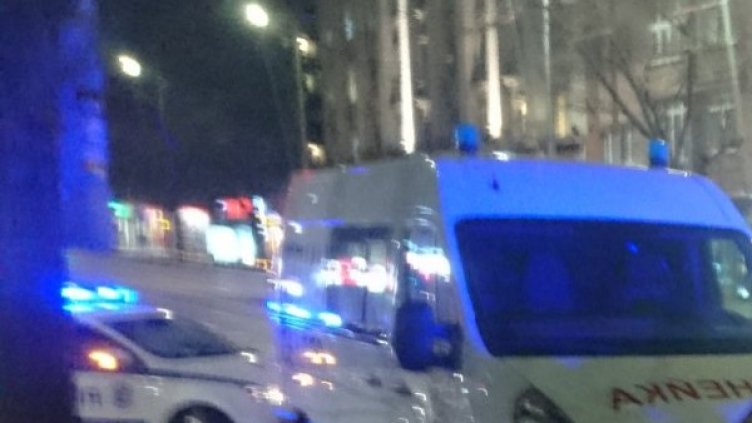 Снимка: БГНЕС