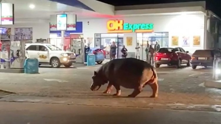 Снимка: Twitter