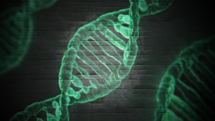 Снимка: Pixabay