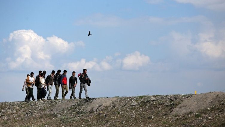 Снимка: архив, БГНЕС