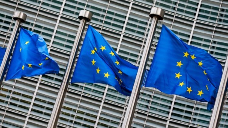 Снимка: архив, БГНЕС