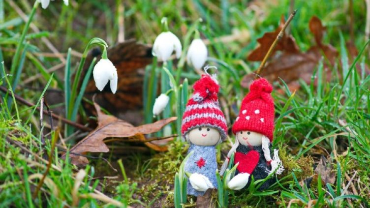 Снимка: Pixabay