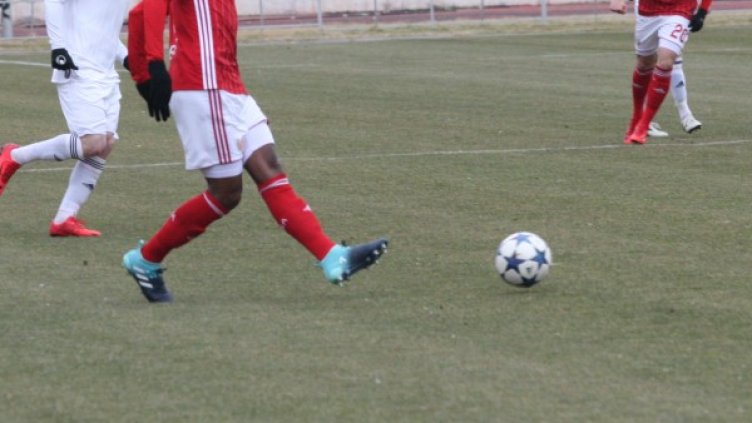 Архив: БГНЕС