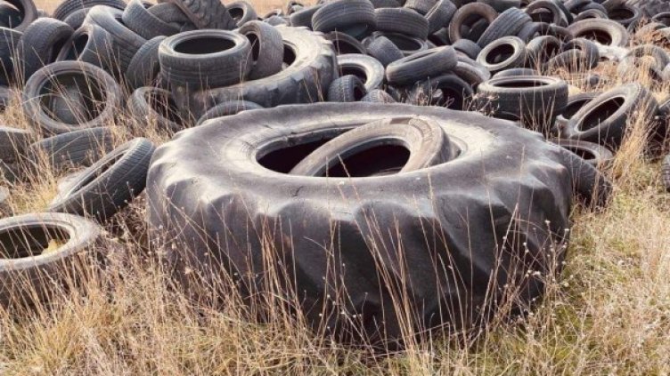 Архив: БГНЕС