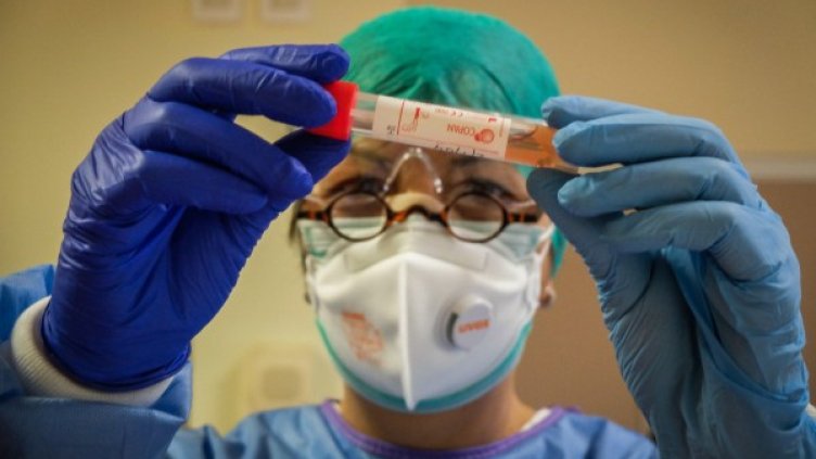 Снимка: архив, БГНЕС