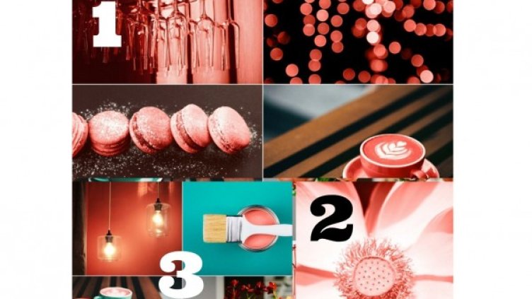 Снимки: istock