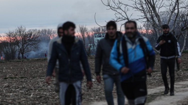 Снимка: БГНЕС, архив