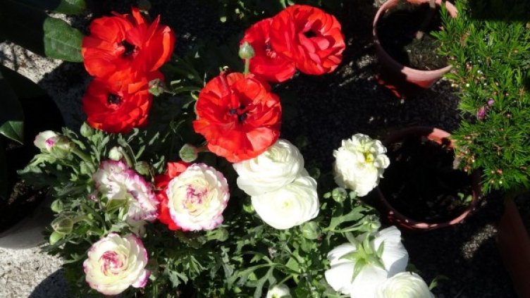 Дъжд и облаци и утре, на места до 20 градуса