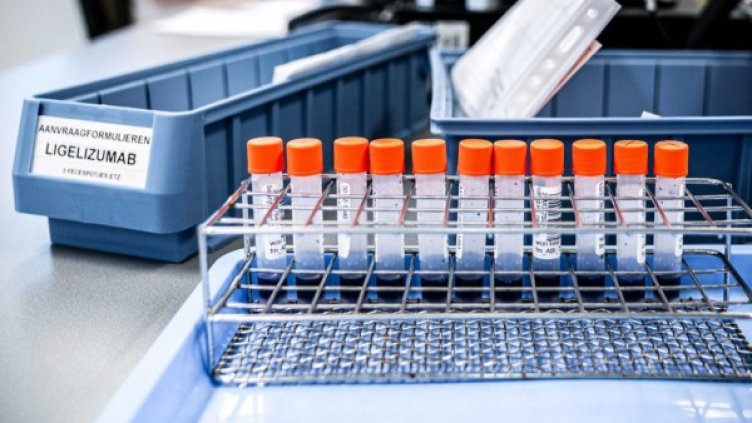 Снимка: архив, БГНЕС