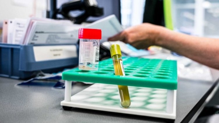 Снимка: архив, БГНЕС