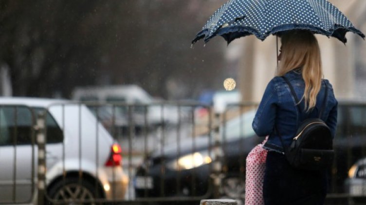 Снимка: архив, БГНЕС