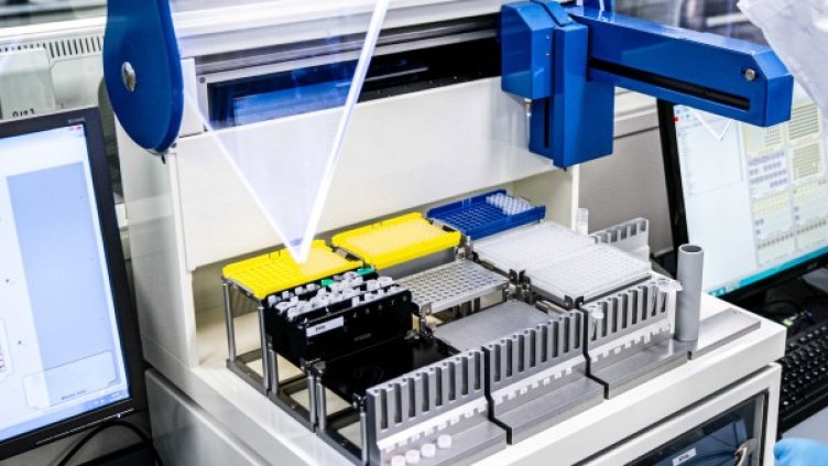 Снимка: архив, БГНЕС