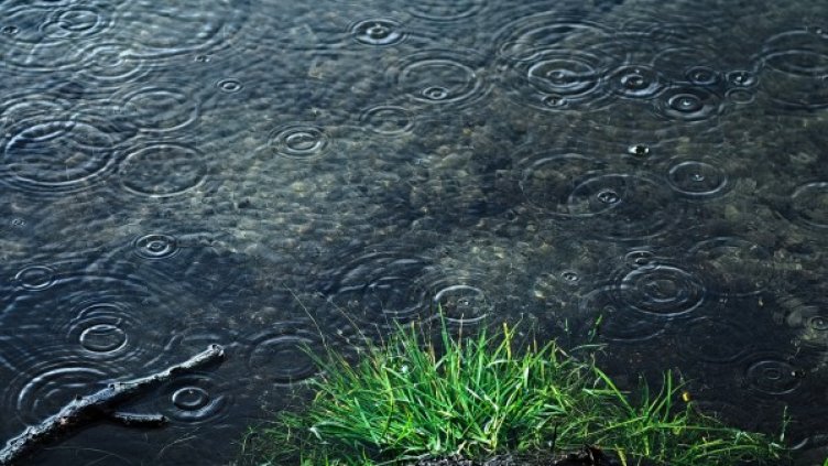 Снимка: Pixabay