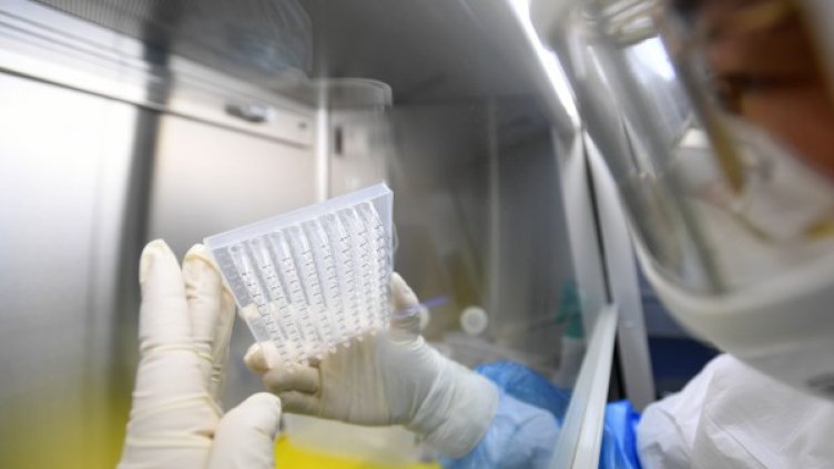 Снимка: БГНЕС