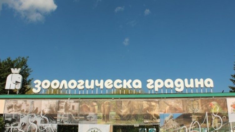 Снимка: Зоологическа градина-София