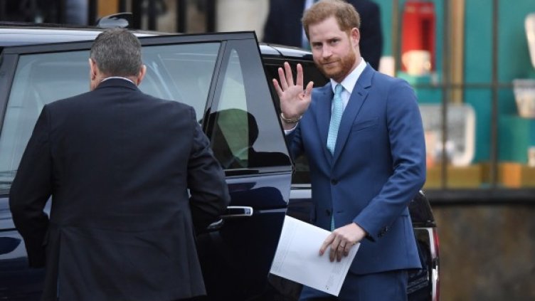 Принц Хари. Снимка: архив, БГНЕС