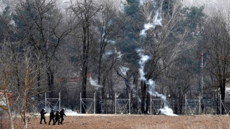 Снимка: архив, БГНЕС