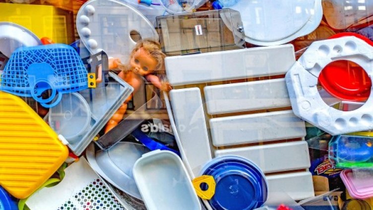 Снимка: Pixabay