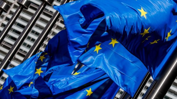 Снимка: архив, БГНЕС