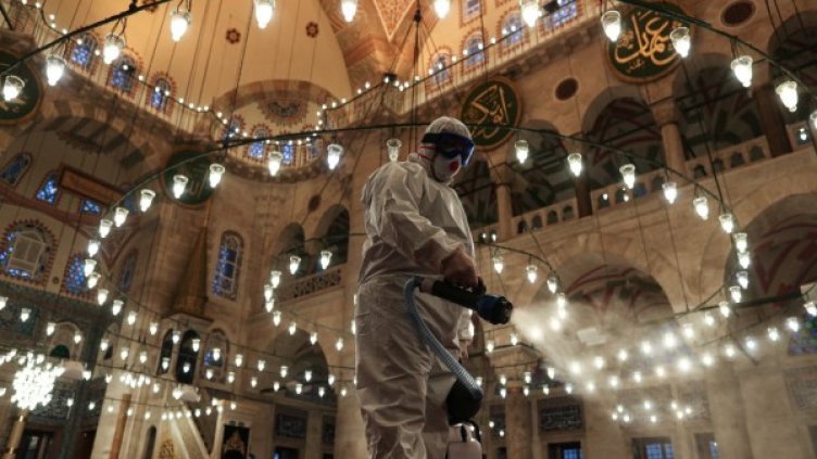 Снимка: архив, БГНЕС