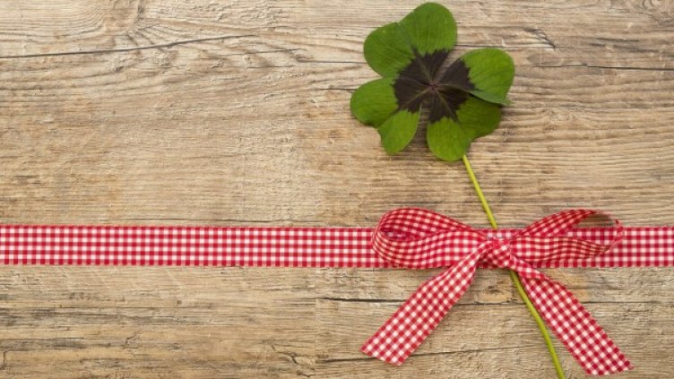 Снимка: Pixabay