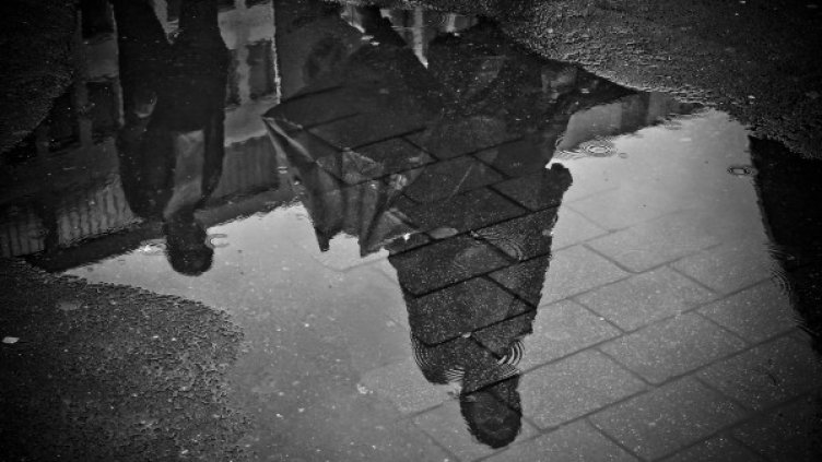 Снимка: Pixabay