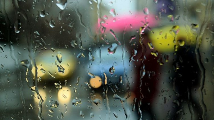 Снимка: архив, БГНЕС