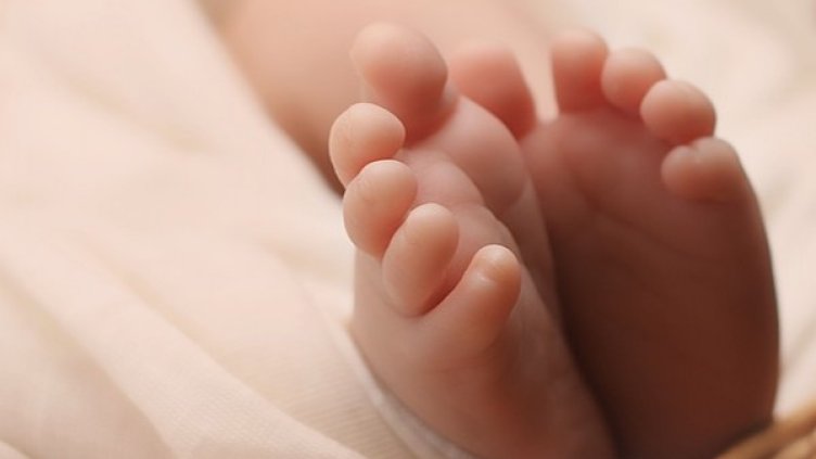 Снимка: Pixabay