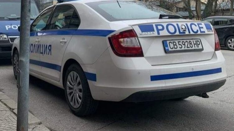 Снимка: архив, БГНЕС