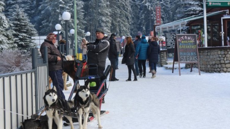 Снимка: БГНЕС