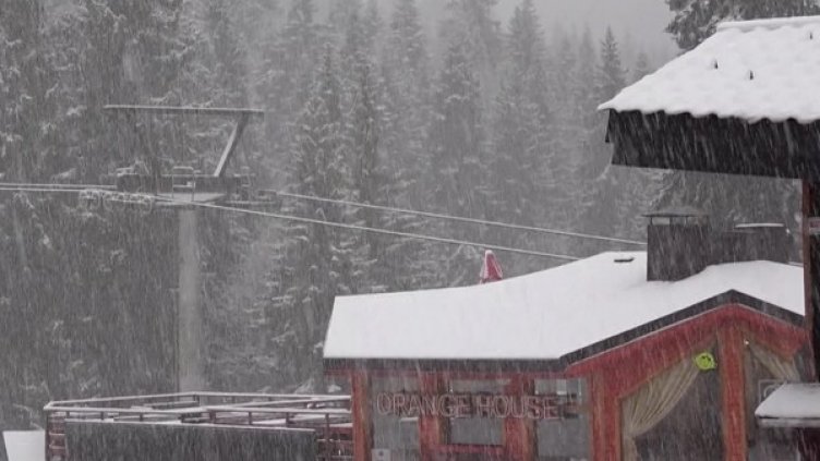 Снимка: БГНЕС