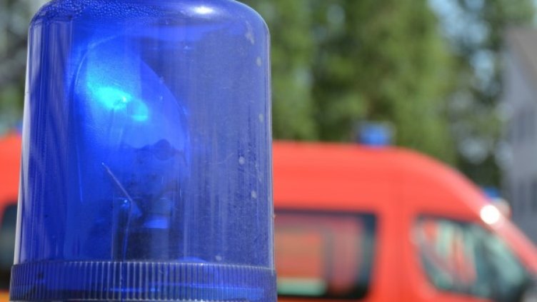 Снимка: Pixabay