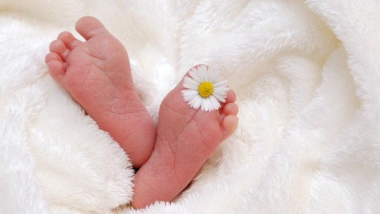 Снимка: Pixabay