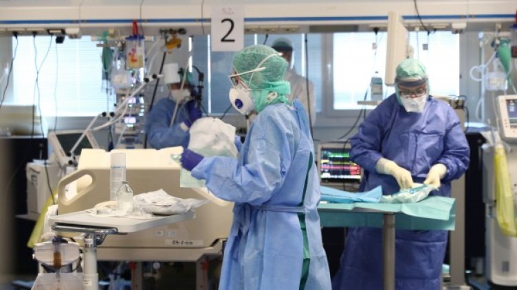 Снимка: БГНЕС