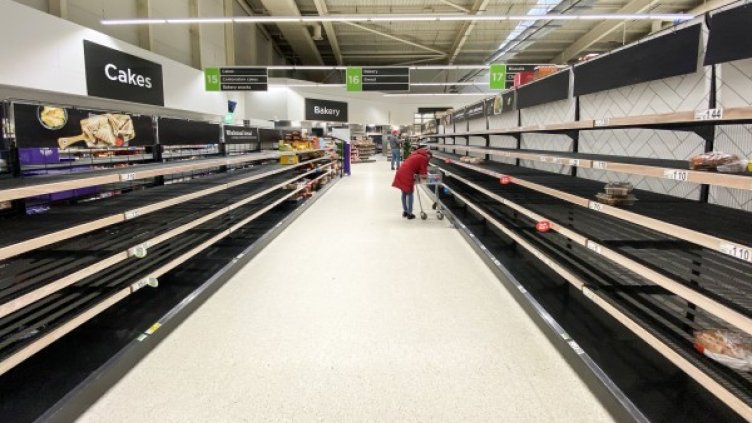 Снимка: БГНЕС