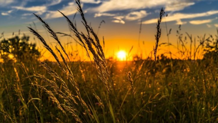 Снимка: Pixabay