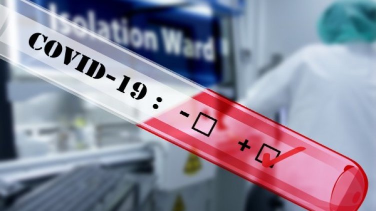 Снимка: Pixabay