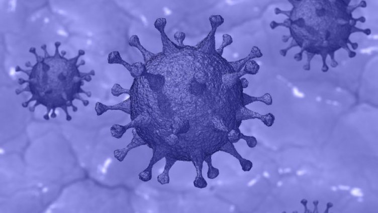 Снимка: Pixabay