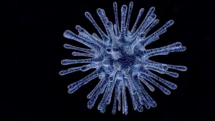 Снимка: Bulgaria ON AIR