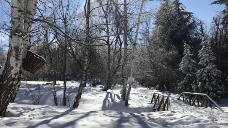 Снимка: БГНЕС