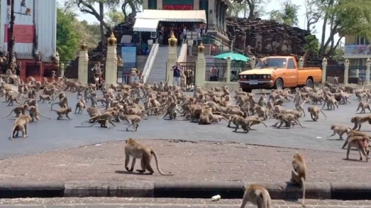 Снимки: Twitter