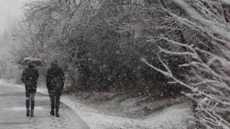 Снимка: БГНЕС