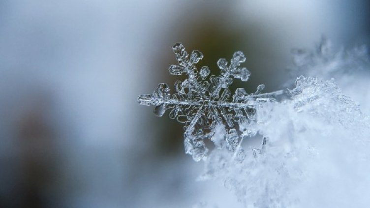 Снимка: Pixabay