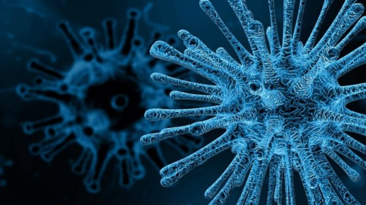 Снимка: Pixabay