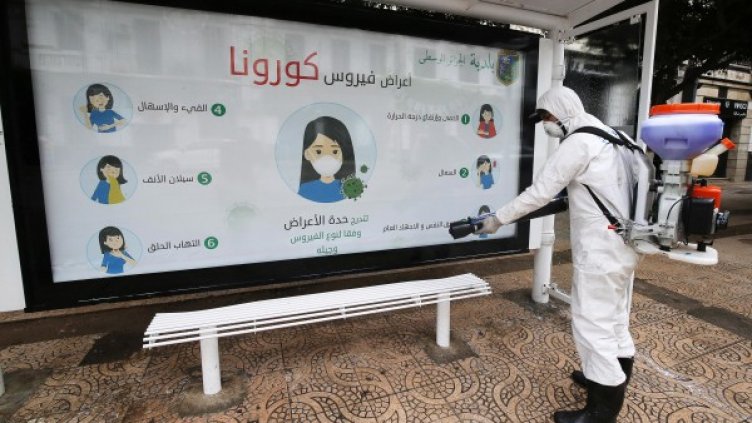 Снимка: архив, БГНЕС