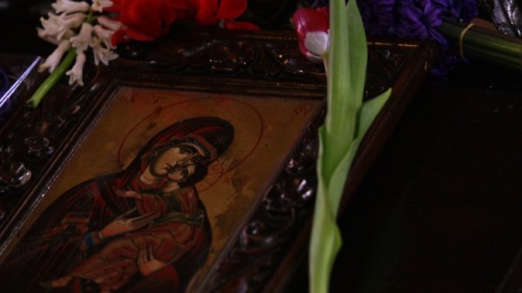 Снимка: архив, БГНЕС